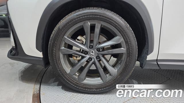 Lexus NX350h 2024 — Şəkil 5/20