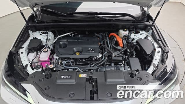 Lexus NX350h 2024 — Şəkil 6/20