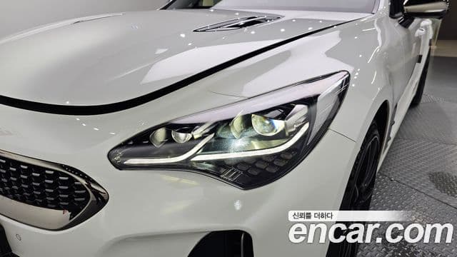 Kia Stinger Meister 2020 — ფოტო 7/35