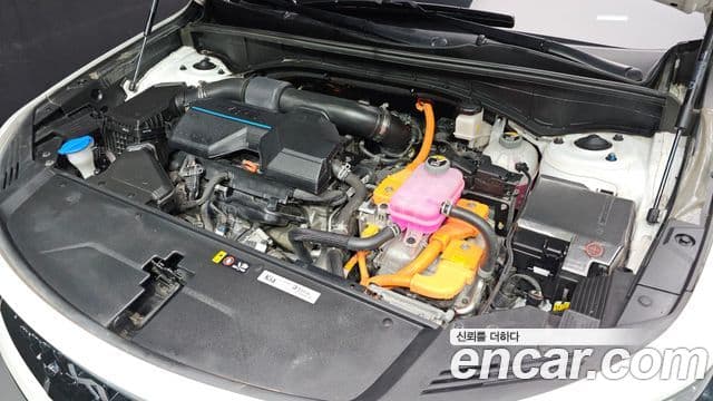 Kia Sorento 2022 — Şəkil 6/20
