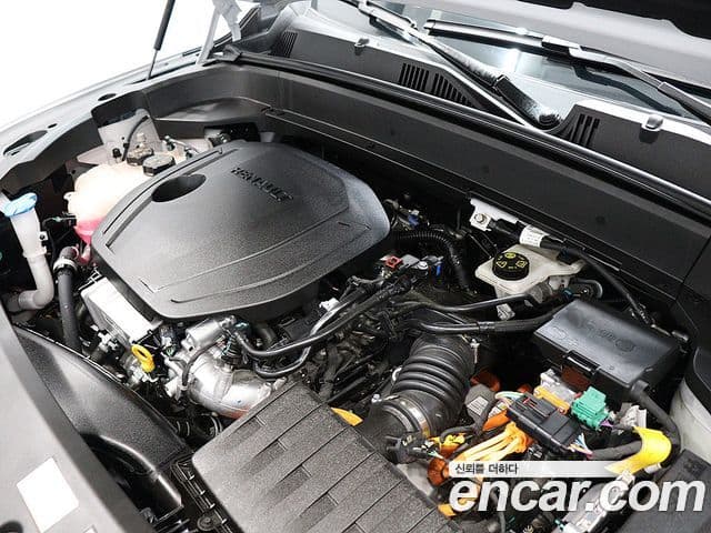 Renault Samsung Grand Koleos 2025 — Фото 19/20