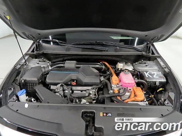 Kia Sportage 2023 — ფოტო 5/20