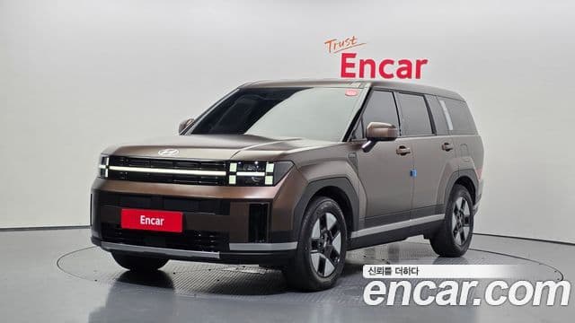 Hyundai Santa Fe 2024 — ფოტო 1/20