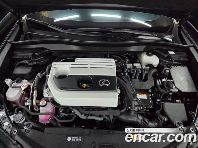 Lexus UX250h 2023 — ფოტო 12/20