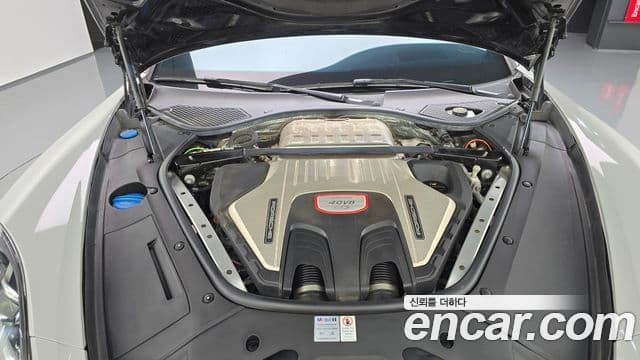 Porsche Panamera 2021 — ფოტო 6/20