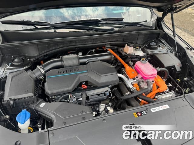 Kia Sorento 2024 — ფოტო 16/20