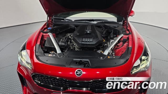 Kia Stinger 2020 — ფოტო 6/20