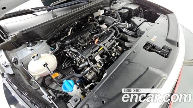 Kia Sportage 2025 — ფოტო 6/20