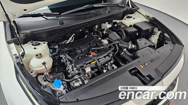 Kia Sportage 2023 — ფოტო 6/20