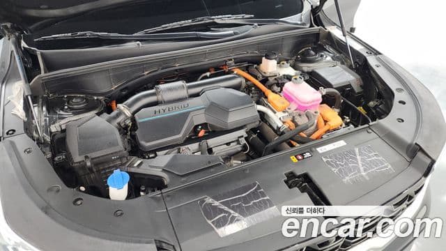 Kia Sorento 2024 — Şəkil 6/20