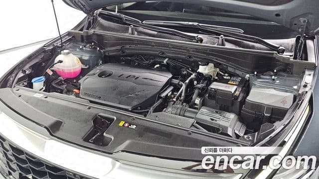 Kia Sportage 2024 — ფოტო 6/20