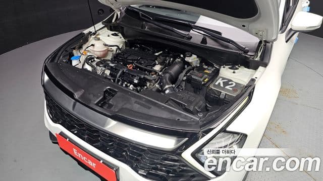 Kia Sportage 2022 — ფოტო 6/20