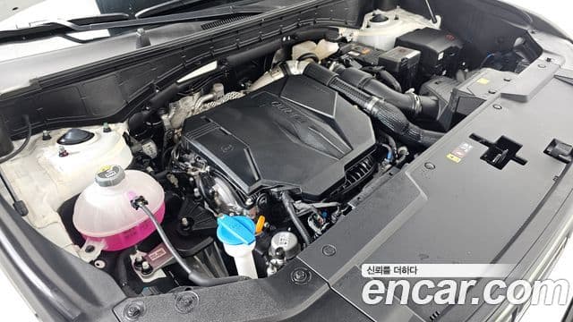 Hyundai Santa Fe 2025 — ფოტო 6/20