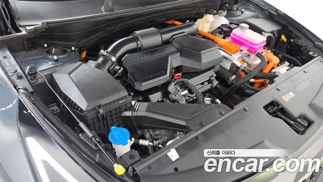 Kia Sportage 2025 — Photo 17/36