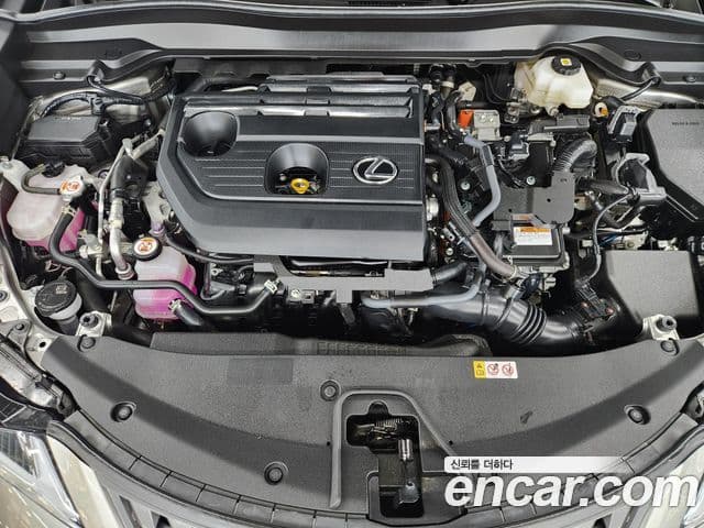Lexus UX300h 2024 — ფოტო 5/20