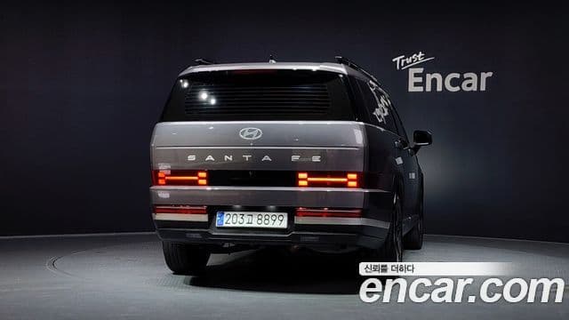 Hyundai Santa Fe 2024 — ფოტო 4/20