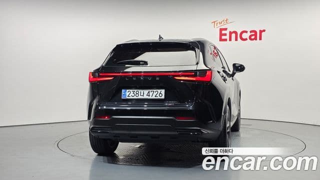 Lexus NX350h 2023 — Фото 4/20