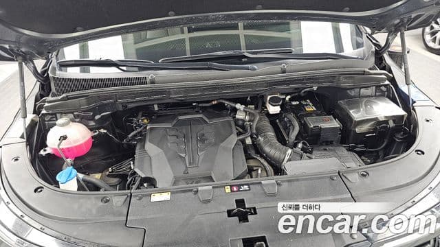 Kia Carnival 2024 — ფოტო 6/20