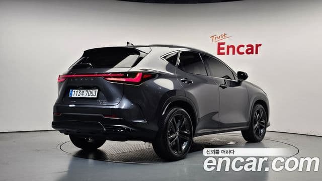 Lexus NX350h 2023 — Фото 2/20