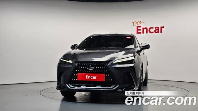 Lexus NX350h 2023 — Фото 3/20