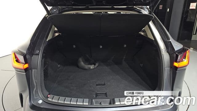 Lexus NX350h 2023 — Фото 20/20
