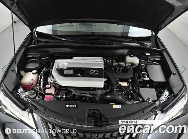 Lexus UX250h 2019 — Şəkil 16/20