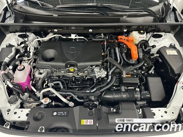 Toyota RAV4 2025 — ფოტო 10/19