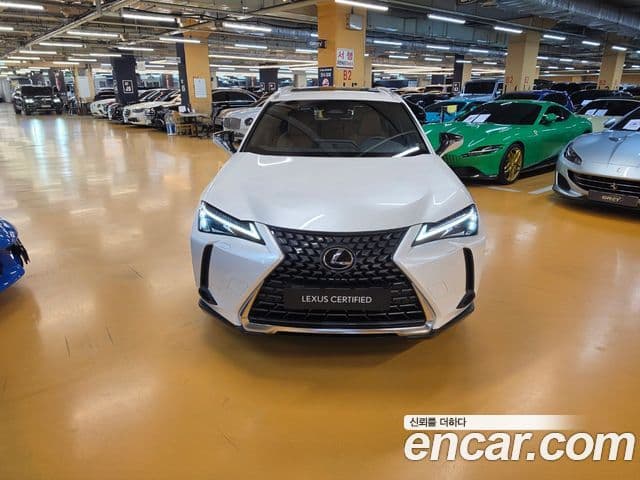 Lexus UX300h 2025 — Photo 15/18