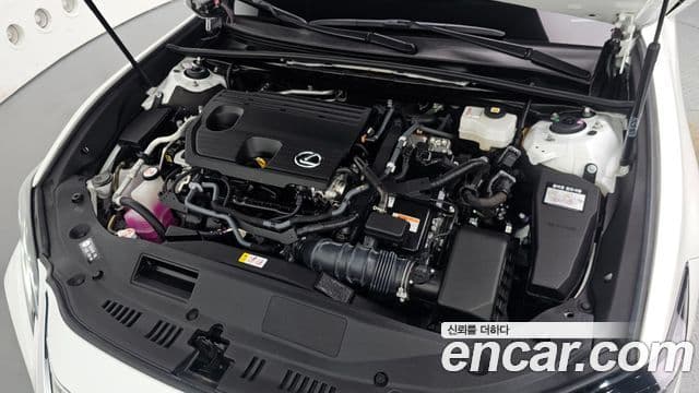 Lexus ES300h 2025 — Photo 13/36