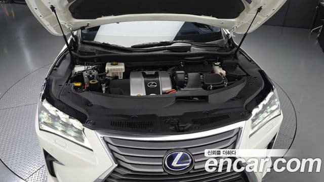 Lexus RX450h 2019 — Şəkil 18/20