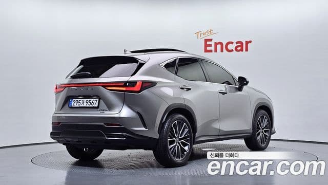 Lexus NX350h 2025 — Photo 1/34