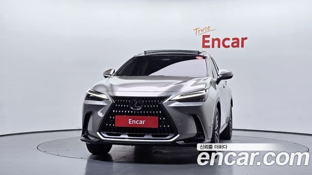Lexus NX350h 2025 — Photo 20/34