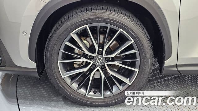 Lexus NX350h 2025 — Photo 16/34
