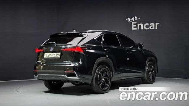 Lexus NX300h 2018 — Фото 2/20
