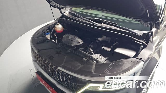 Kia Carnival 2021 — ფოტო 6/20