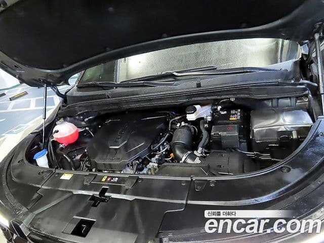Kia Carnival 2024 — ფოტო 19/20