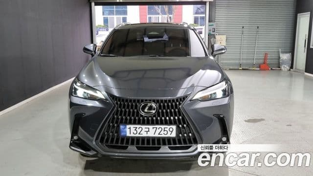 Lexus NX350h 2023 — ფოტო 17/18