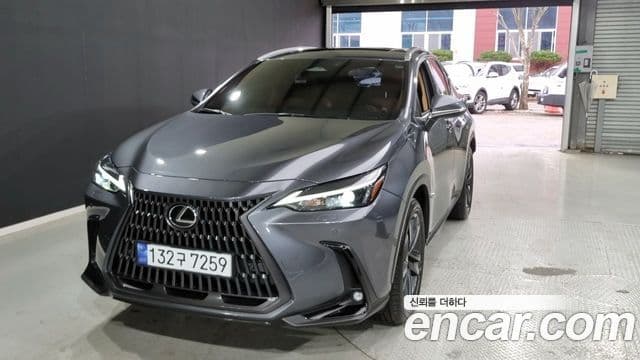 Lexus NX350h 2023 — Şəkil 12/18