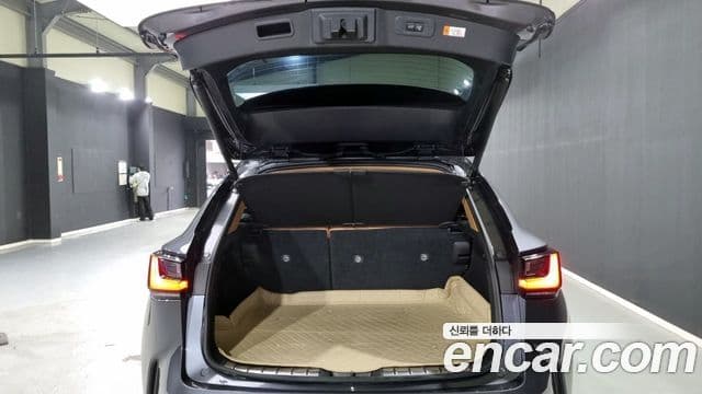 Lexus NX350h 2023 — ფოტო 2/18