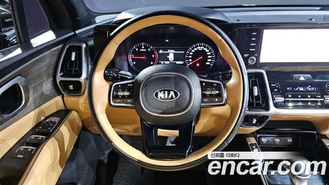 Kia Sorento 2020 — ფოტო 13/20