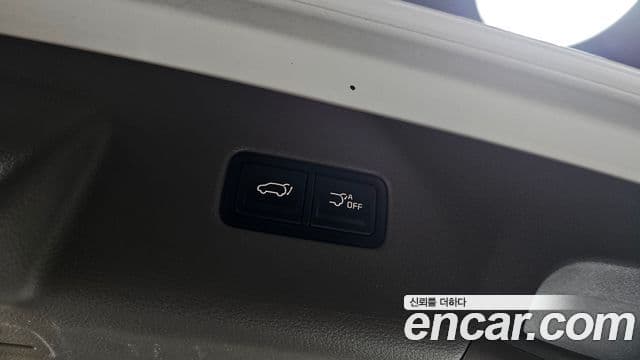 Kia Carnival 2021 — ფოტო 17/20