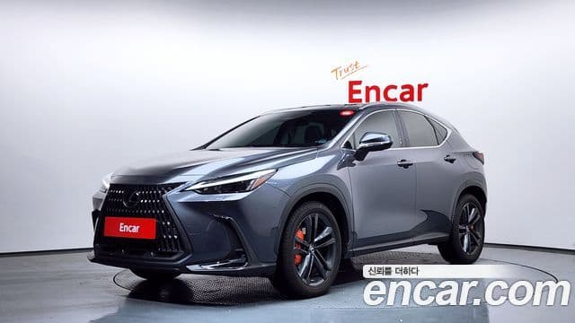 Lexus NX350h 2024 — ფოტო 18/20