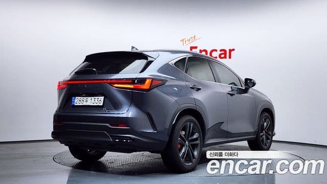 Lexus NX350h 2024 — ფოტო 16/20