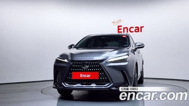 Lexus NX350h 2024 — ფოტო 2/20