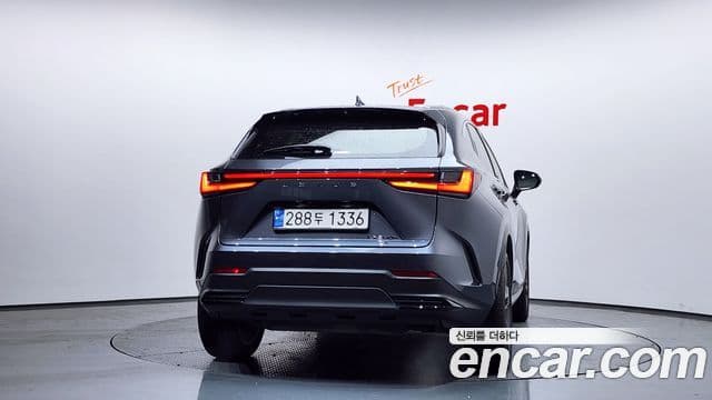 Lexus NX350h 2024 — ფოტო 10/20