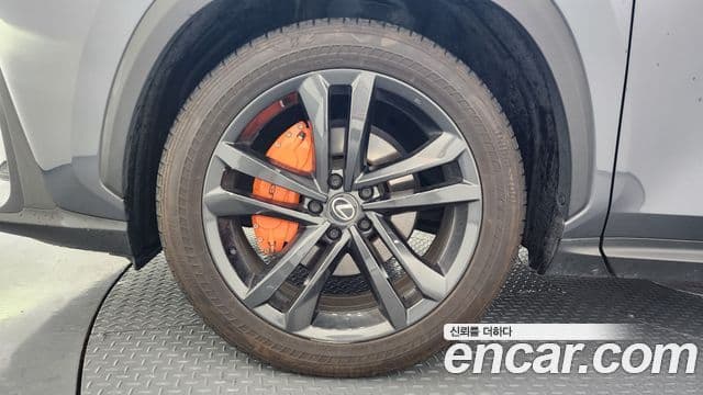 Lexus NX350h 2024 — ფოტო 17/20