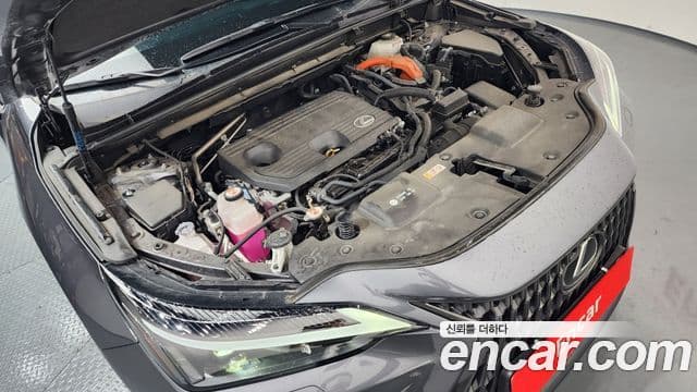 Lexus NX350h 2024 — ფოტო 4/20