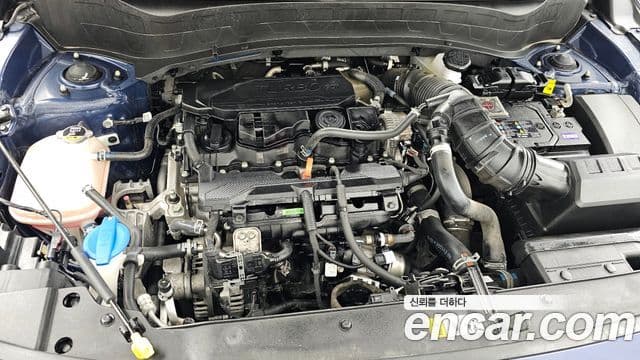 Kia Seltos 2024 — ფოტო 5/20