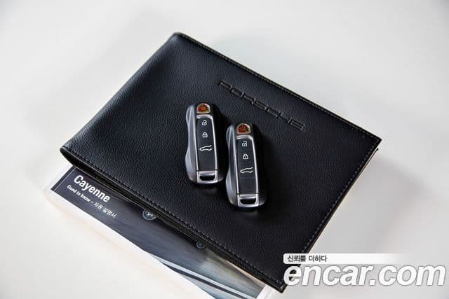 Porsche Cayenne 2021 — ფოტო 18/20