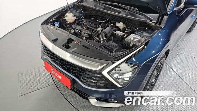 Kia Sportage 2021 — ფოტო 6/20
